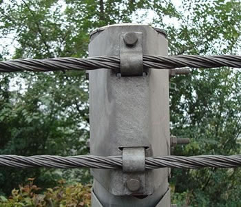 绳索91短视频版在线观看WWW免费